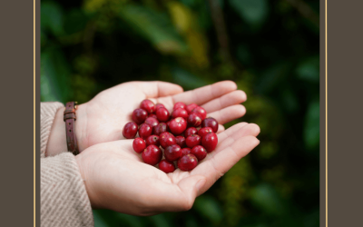 Jó tanácsok a hétre – a tarot megmondja!